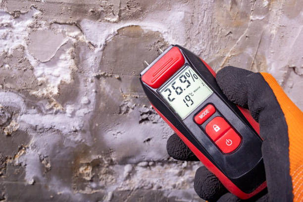 Best Mold Damage Repair  in Hawaiian Ocean View, HI