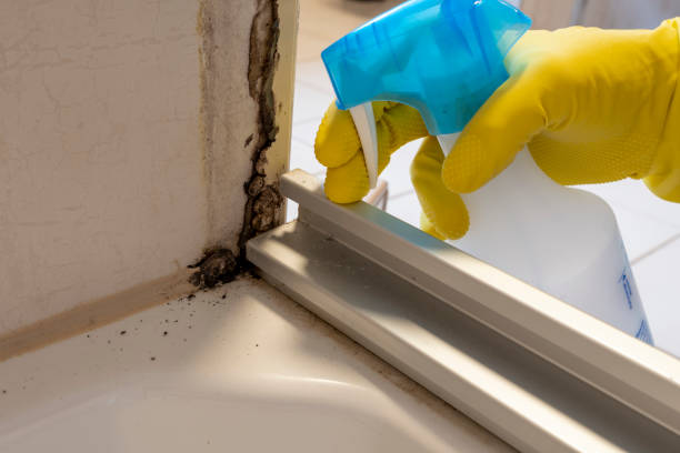 Crawl Space Mold Removal in Hawaiian Ocean View, HI