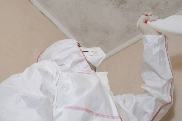 Best Certified Mold Removal  in Hawaiian Ocean View, HI