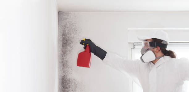 Best Residential Mold Removal  in Hawaiian Ocean View, HI