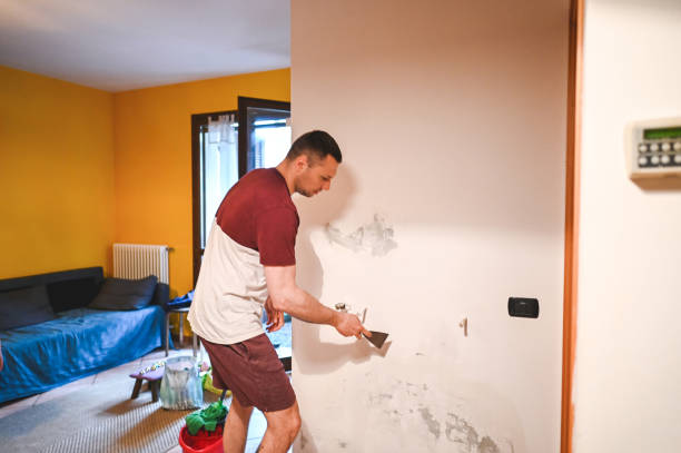 Best Commercial Mold Removal  in Hawaiian Ocean View, HI